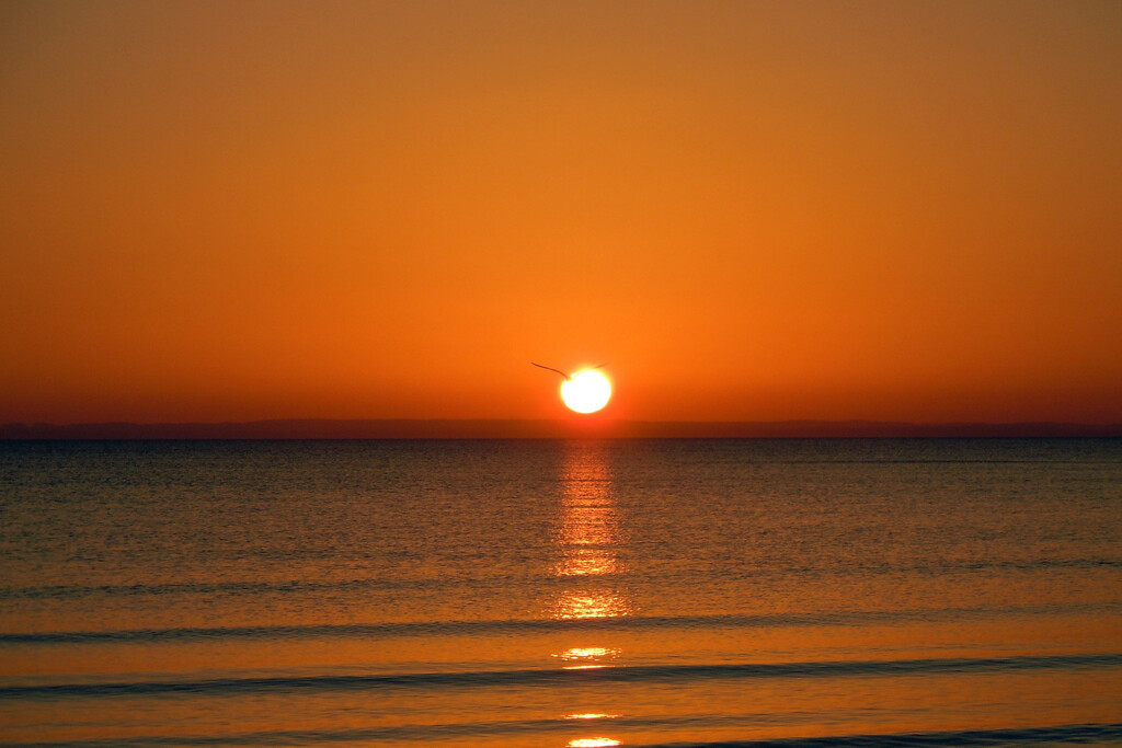 Sunrise on the sea