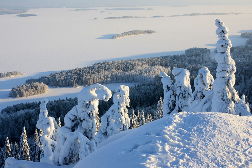 Snowy landscape from Finland