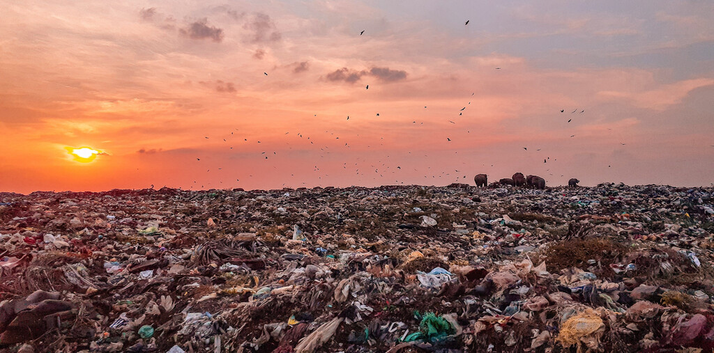 Trash, plastics